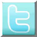 twitter-icon